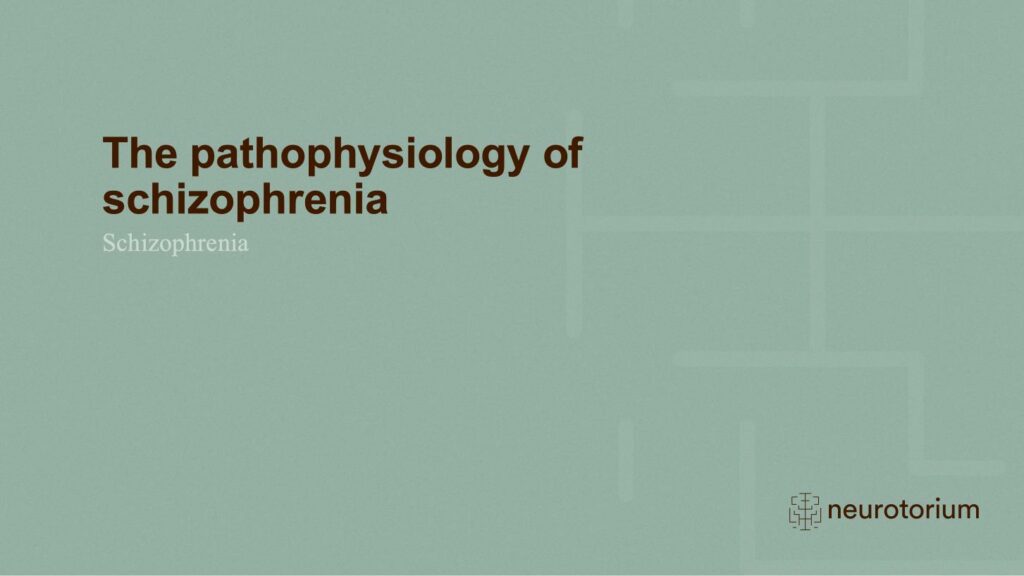 Schizophrenia - Neurobiology and Aetiology - slide 23